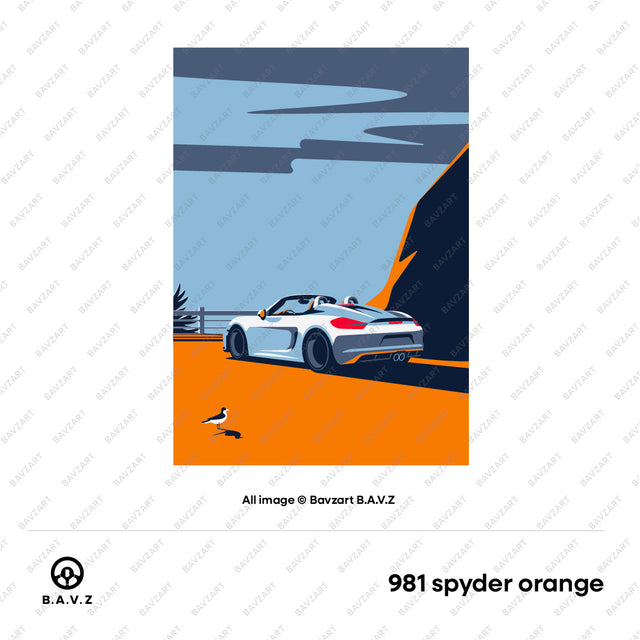 Porsche 981 Boxster cliffside escape