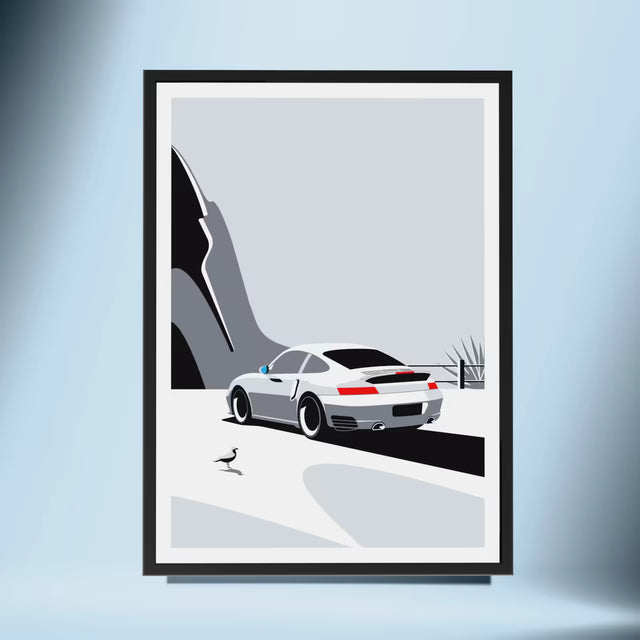 Wondering Seagull Spots Porsche 996 - Car Print