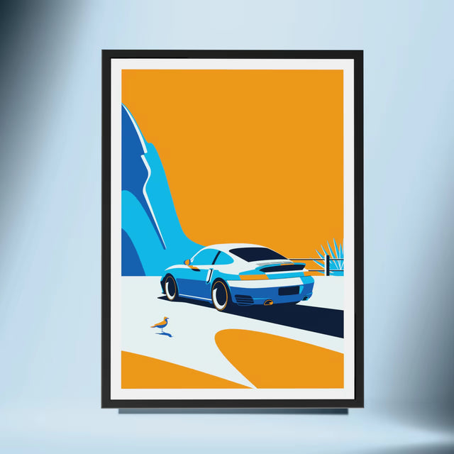 Wondering Seagull Spots Porsche 996 - Car Print
