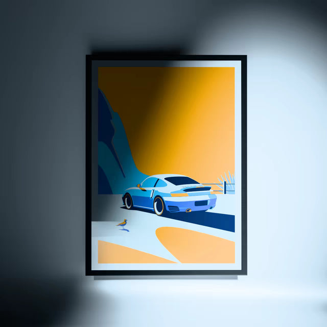 Wondering Seagull Spots Porsche 996 - Car Print