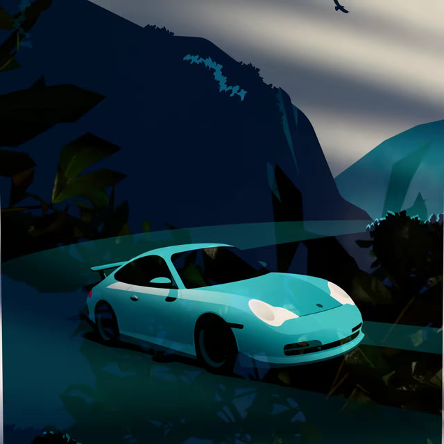 Never Mind the Porsche 996 GT3 - Car Print