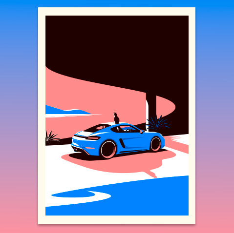 Wondering cat and his Porsche