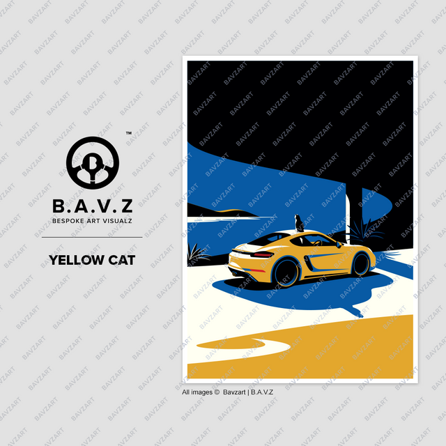 Wondering cat and his Porsche