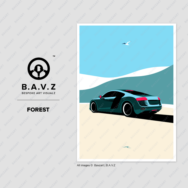 Gull spots Audi R8