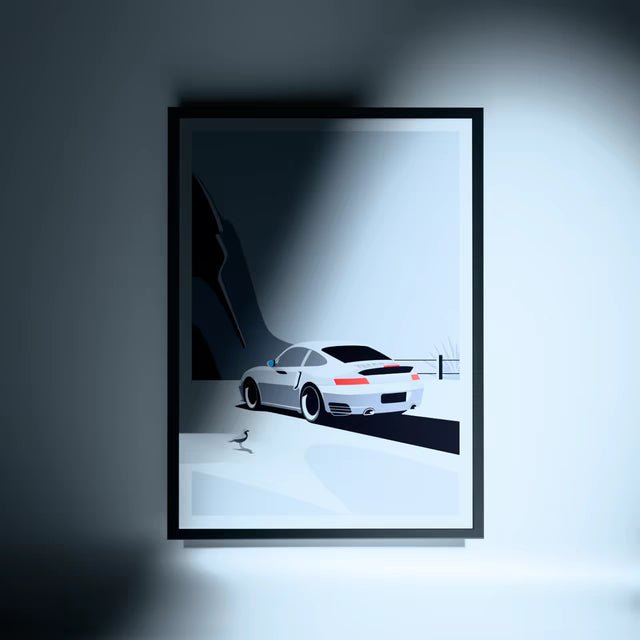 Wondering Seagull Spots Porsche 996 - Car Print