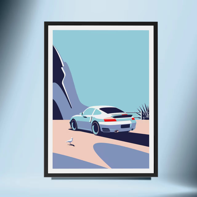 Wondering Seagull Spots Porsche 996 - Car Print