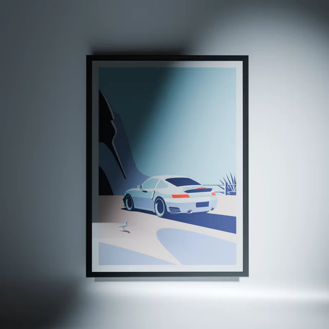 Wondering Seagull Spots Porsche 996 - Car Print
