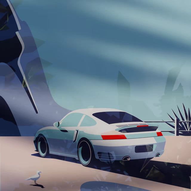 Wondering Seagull Spots Porsche 996 - Car Print