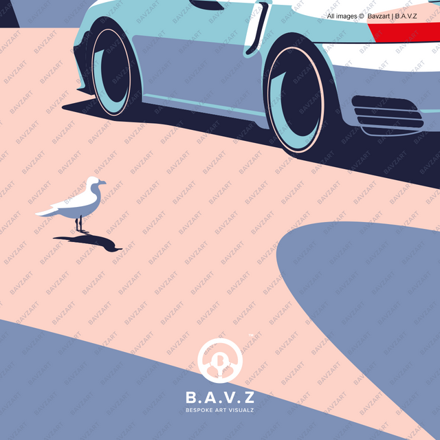 wondering seagull spots 996