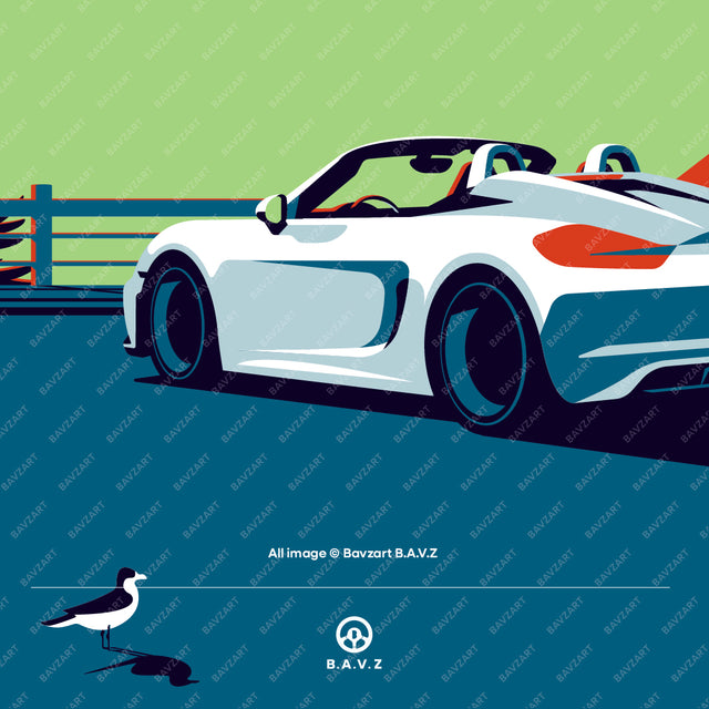 Porsche 981 Boxster cliffside escape