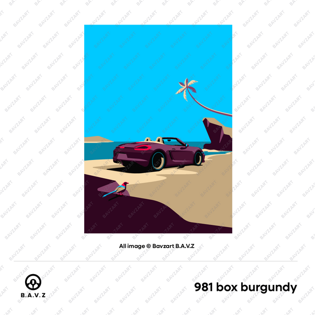 Porsche Boxster Paradise A Tropical Drive