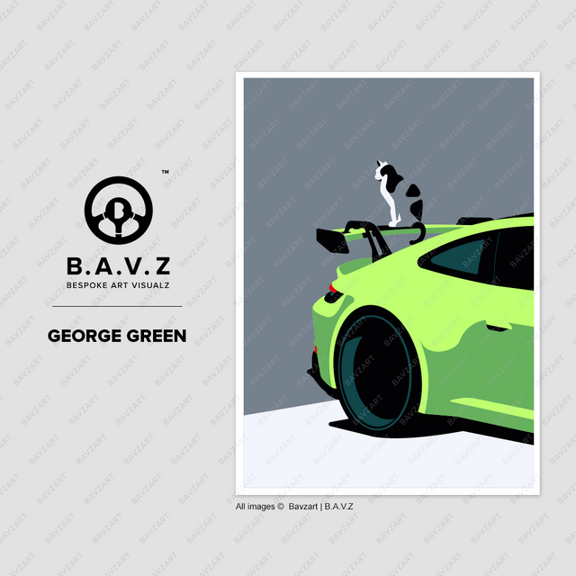 cat sitting on a green porsche 