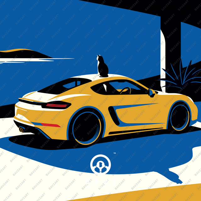 Wondering cat and his Porsche